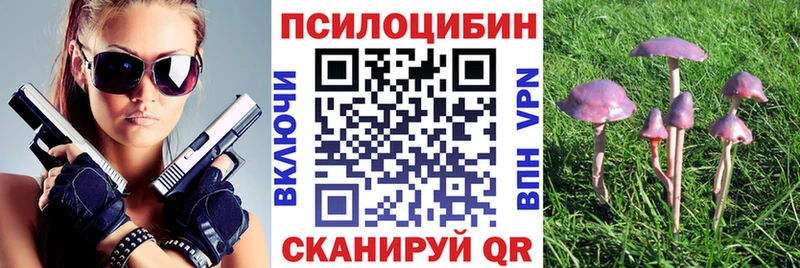 Псилоцибиновые грибы MAGIC MUSHROOMS  это официальный сайт  Кемерово  дарнет шоп 